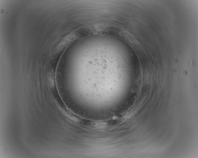 X0000072550719200607211359