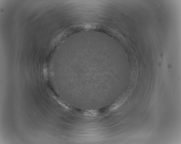 X0000072550720200607211359