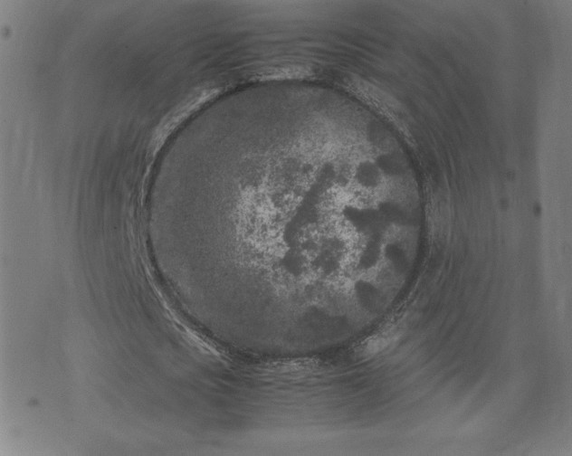 X0000072550721200607211358