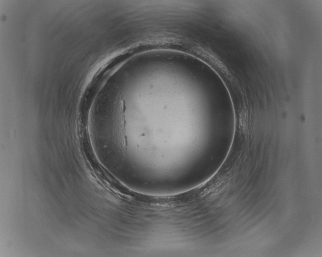 X0000072550724200607211358