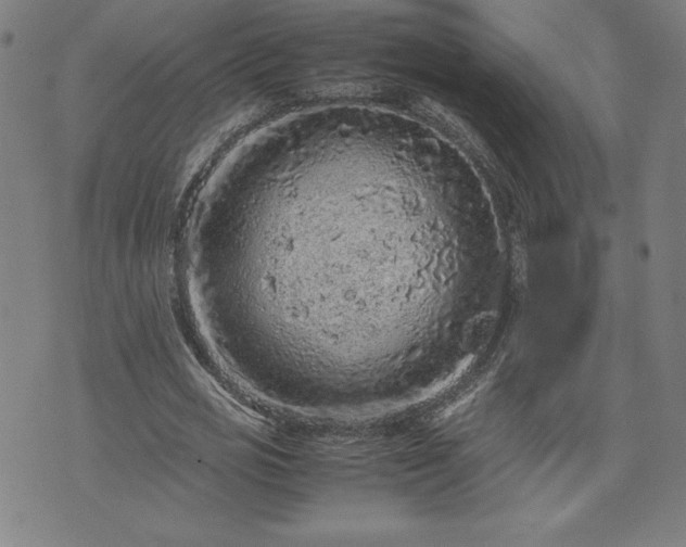 X0000072550725200607211358