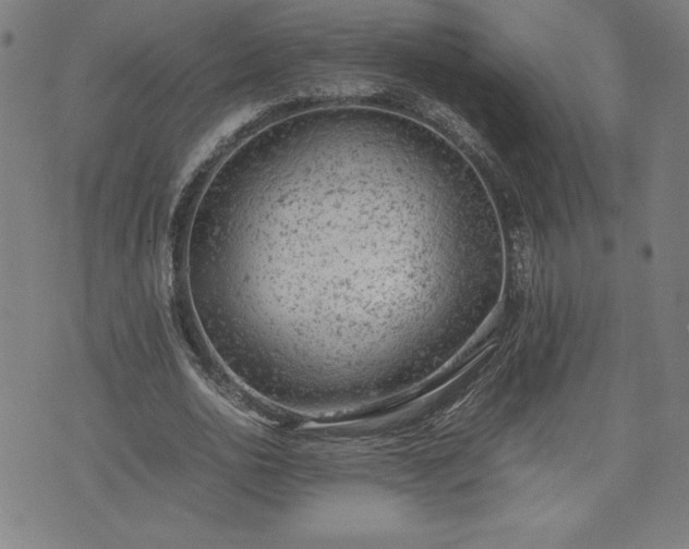 X0000072550726200607211358