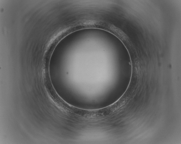 X0000072550728200607211358