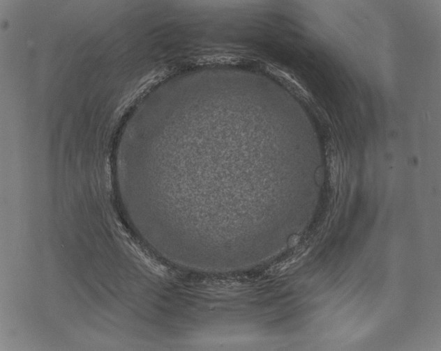 X0000072550729200607211358