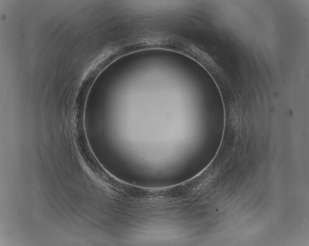 X0000072550730200607211358