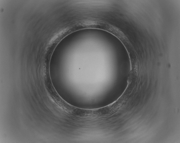 X0000072550732200607211358