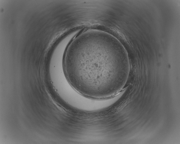 X0000072550736200607211358