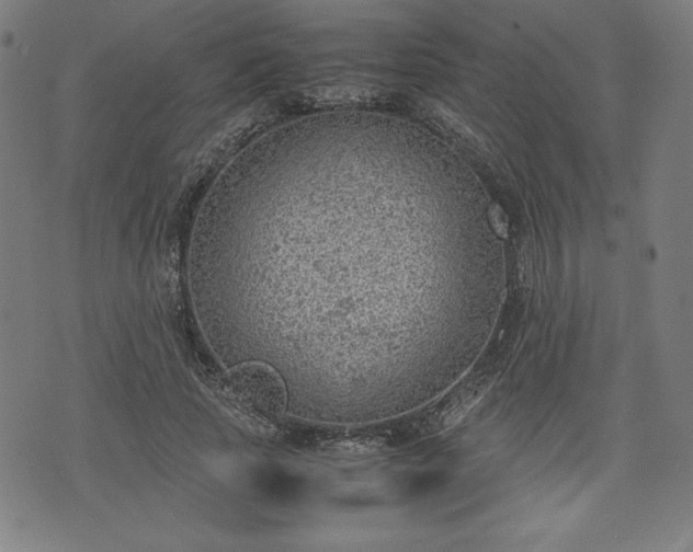 X0000072550737200607211358