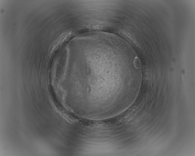 X0000072550738200607211358