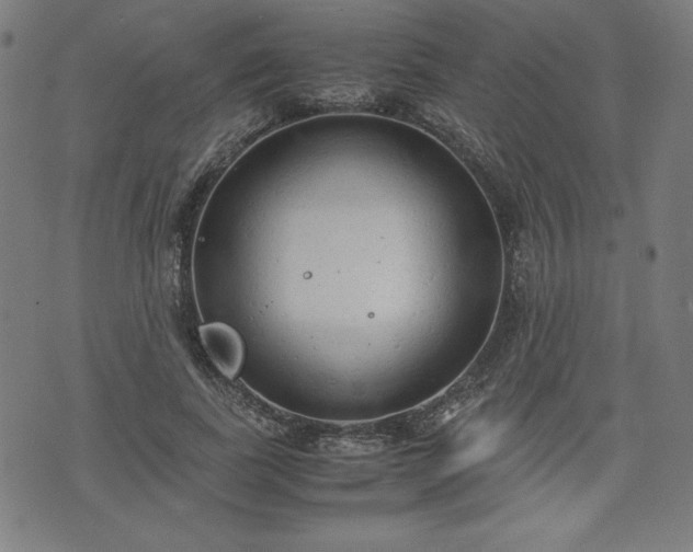 X0000072550739200607211358