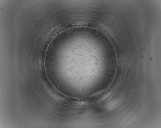 X0000072550741200607211358