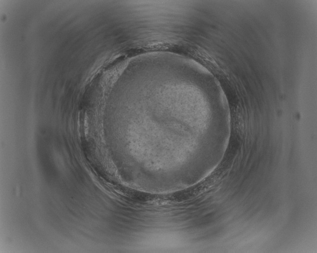 X0000072550742200607211358