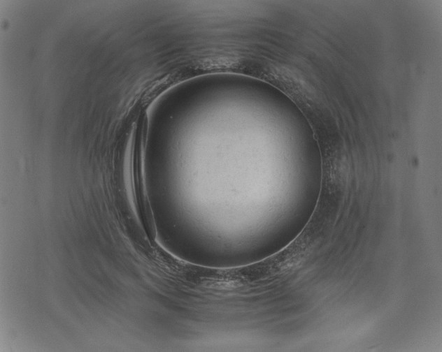 X0000072550743200607211358