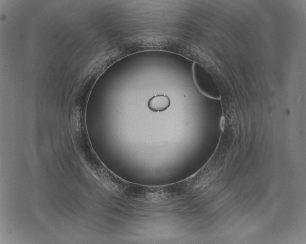 X0000072550744200607211358