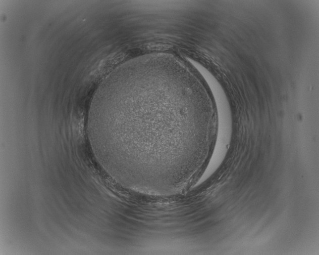 X0000072550745200607211358