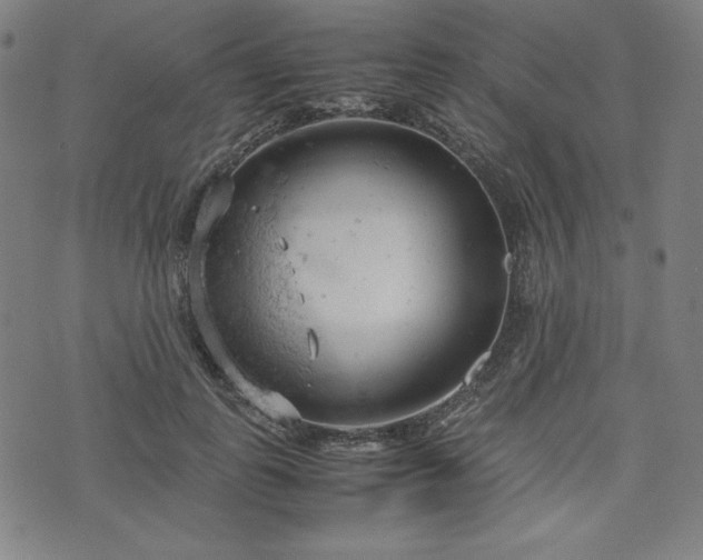 X0000072550747200607211359