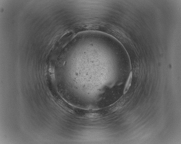 X0000072550748200607211359