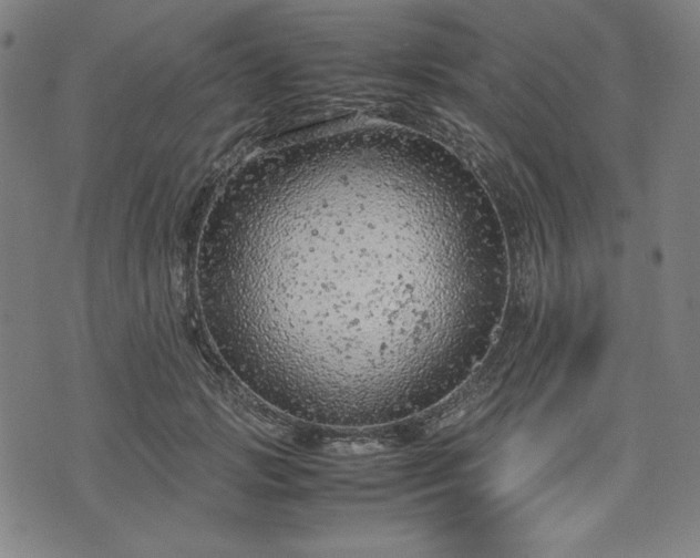 X0000072550749200607211359