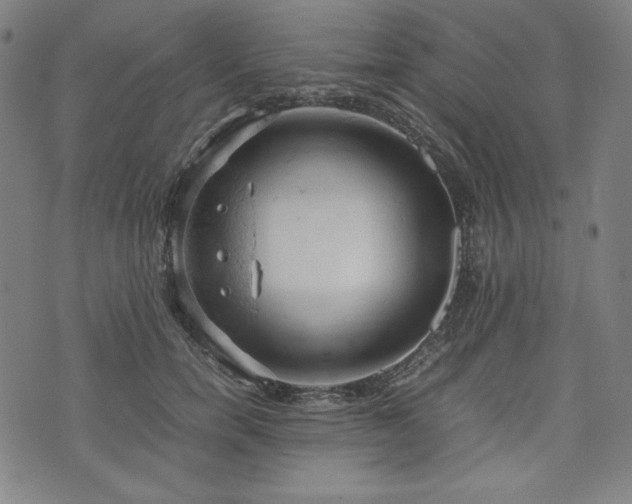 X0000072550750200607211359