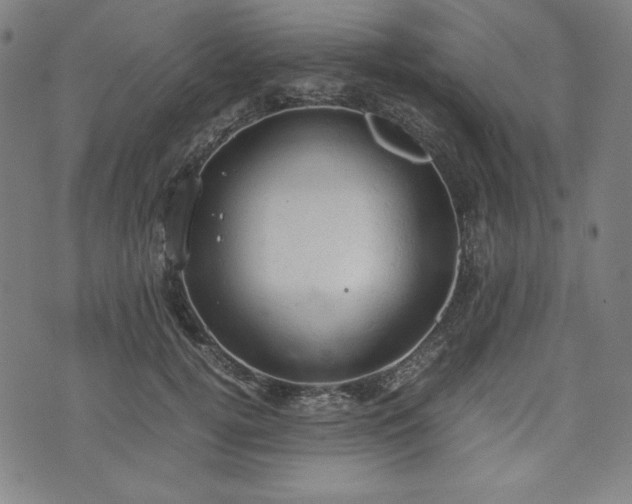 X0000072550752200607211359