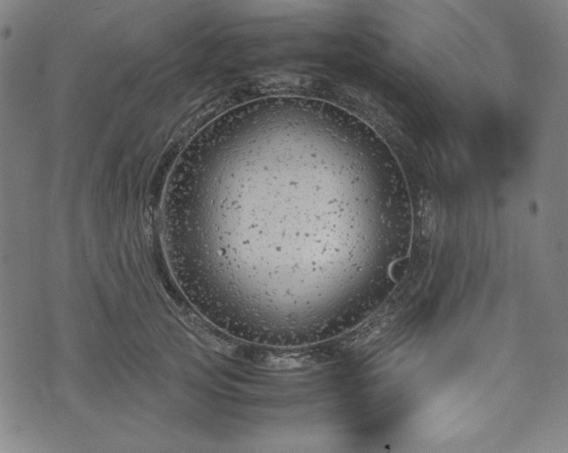 X0000072550753200607211359