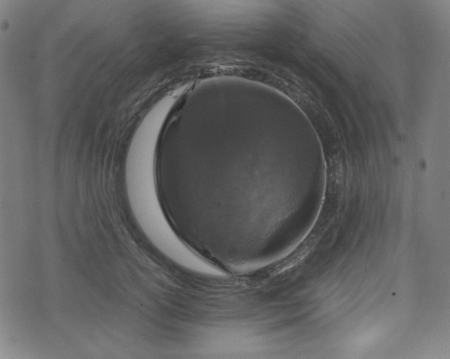 X0000072550754200607211359