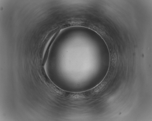 X0000072550755200607211359