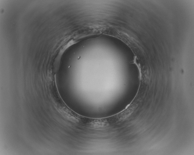 X0000072550756200607211359