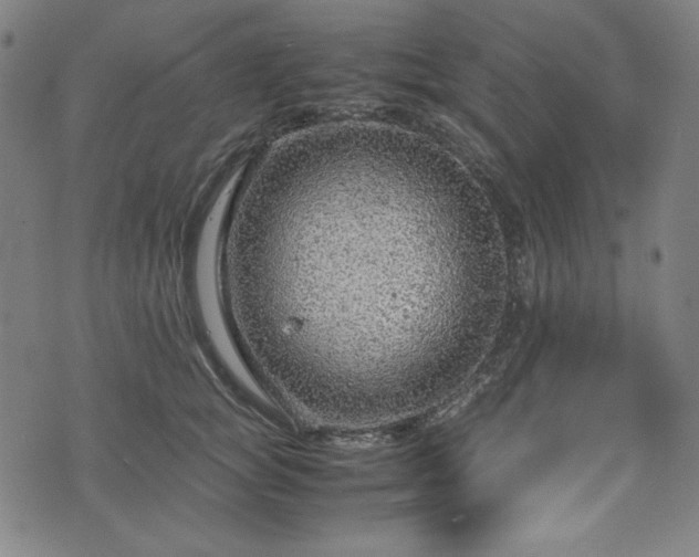 X0000072550757200607211359