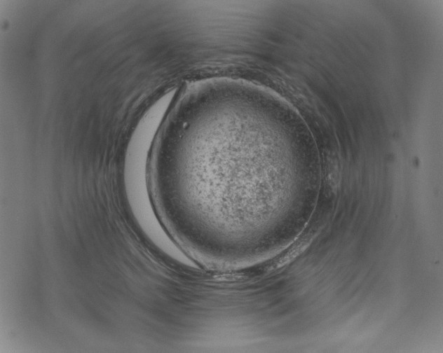 X0000072550758200607211359