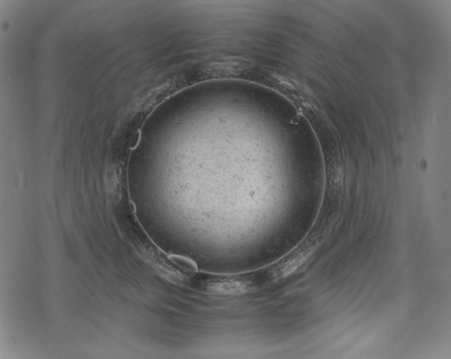 X0000072550759200607211359