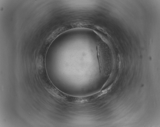 X0000072550760200607211359