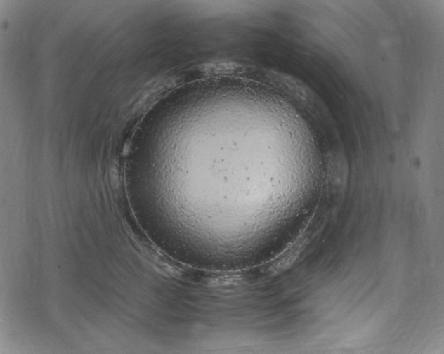 X0000072550761200607211359