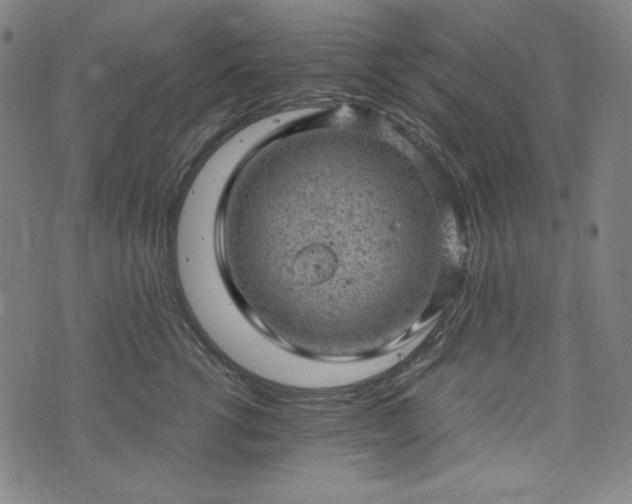 X0000072550762200607211359