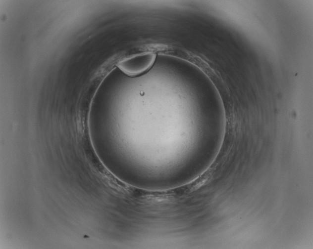 X0000072550763200607211359