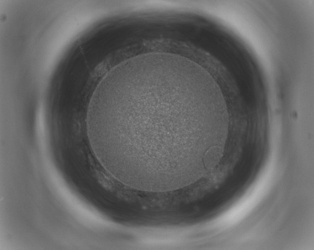 X0000072550765200607211359