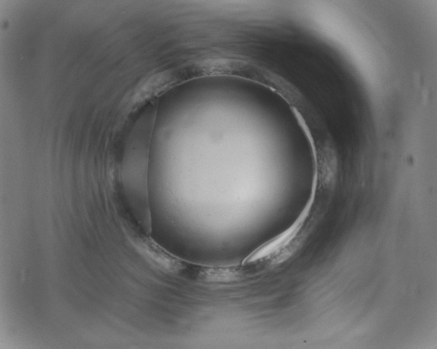 X0000072550766200607211359