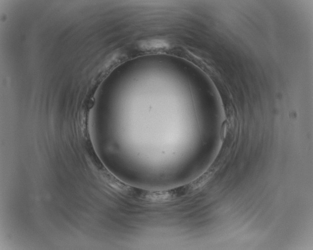 X0000072550767200607211359