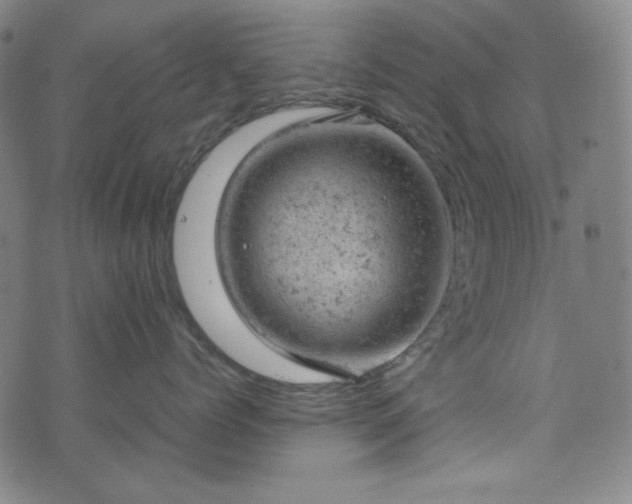 X0000072550768200607211359