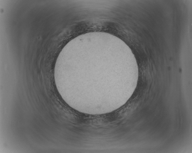 X0000072550769200607211358