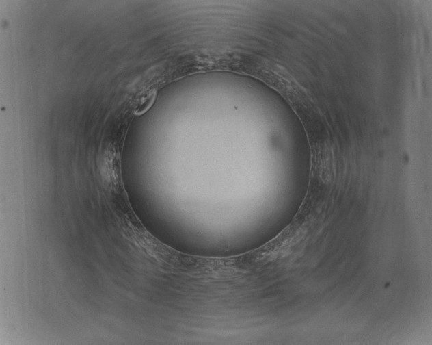 X0000072550770200607211358