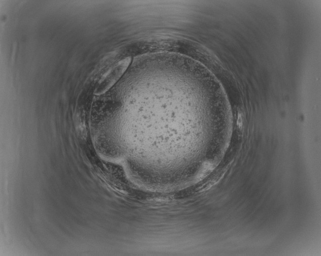 X0000072550771200607211358