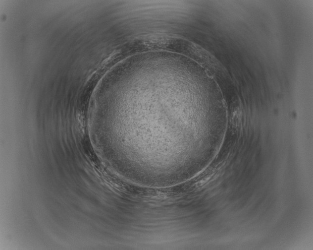 X0000072550772200607211358