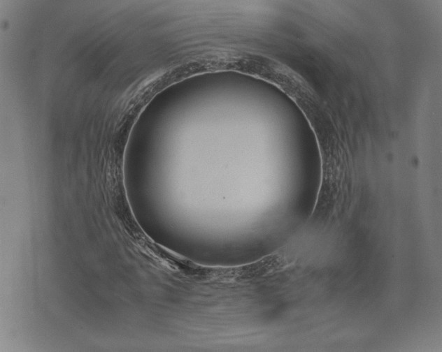 X0000072550773200607211358