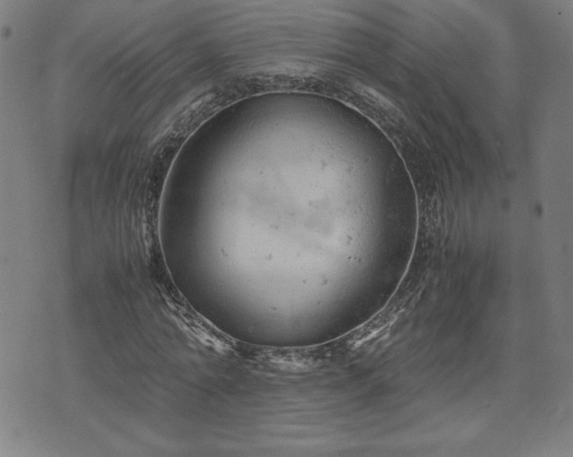 X0000072550774200607211358