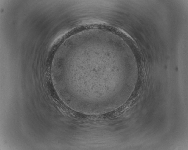 X0000072550775200607211358