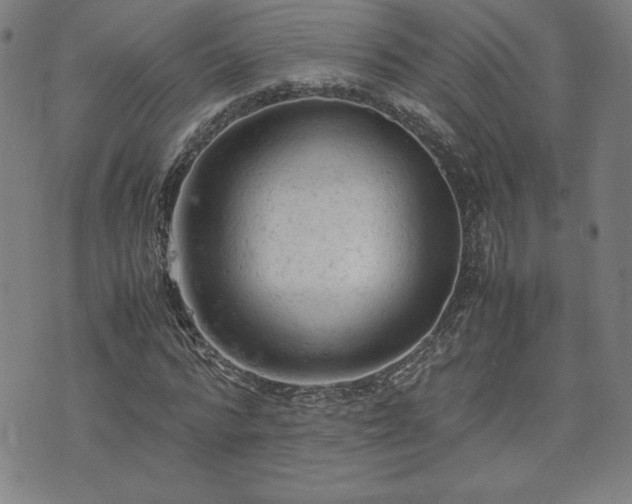 X0000072550776200607211358