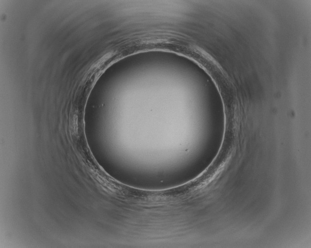 X0000072550777200607211358