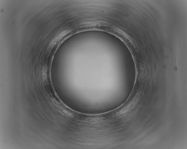 X0000072550778200607211358