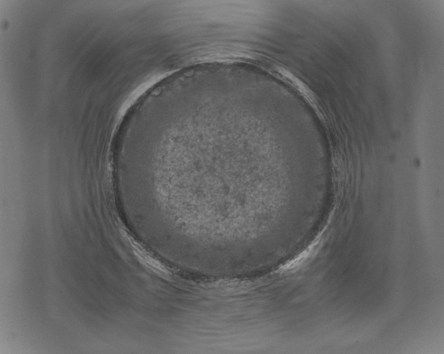 X0000072550779200607211358